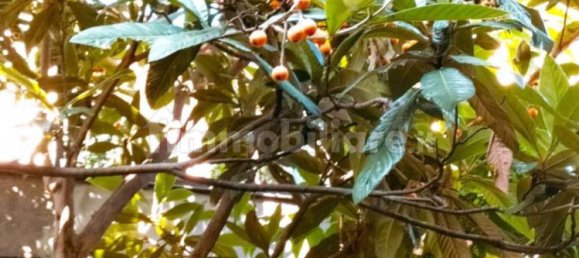 4 Schlafzimmer Wohnung in Turin, Italy, Nr. 143672 37