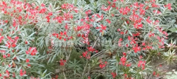 4 Schlafzimmer Wohnung in Turin, Italy, Nr. 143672 38