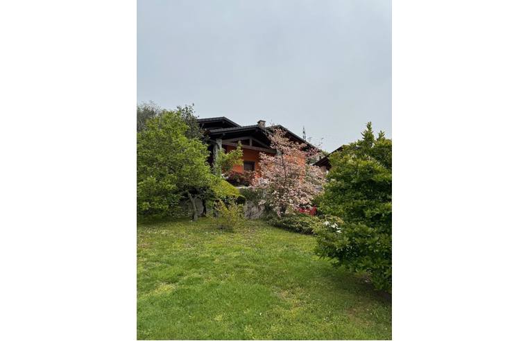 5 rooms Villa in Besozzo, Italy No. 252971