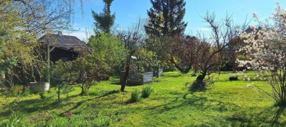 5 rooms House in Vienna, Austria No. 226229 10