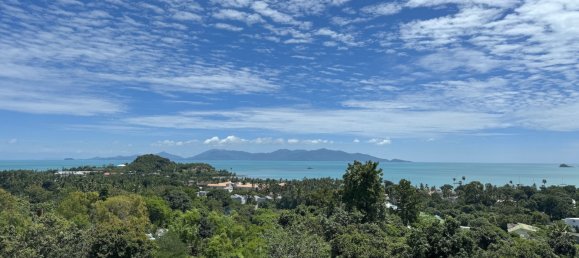 4 bedrooms Cafe / restaurant in Ko Samui, Thailand No. 22023 15