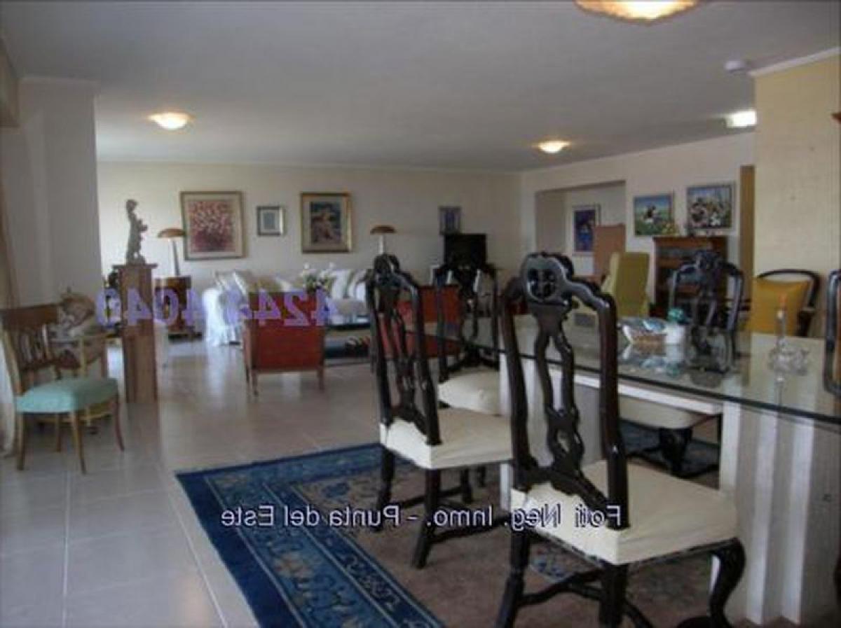 Квартира с 3 спальнями в Пунта-дель-Эсте, Уругвай № 12807