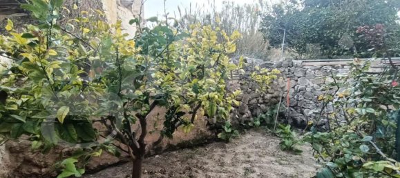 3-Zimmer Wohnung in Favignana, Italy, Nr. 235446 20