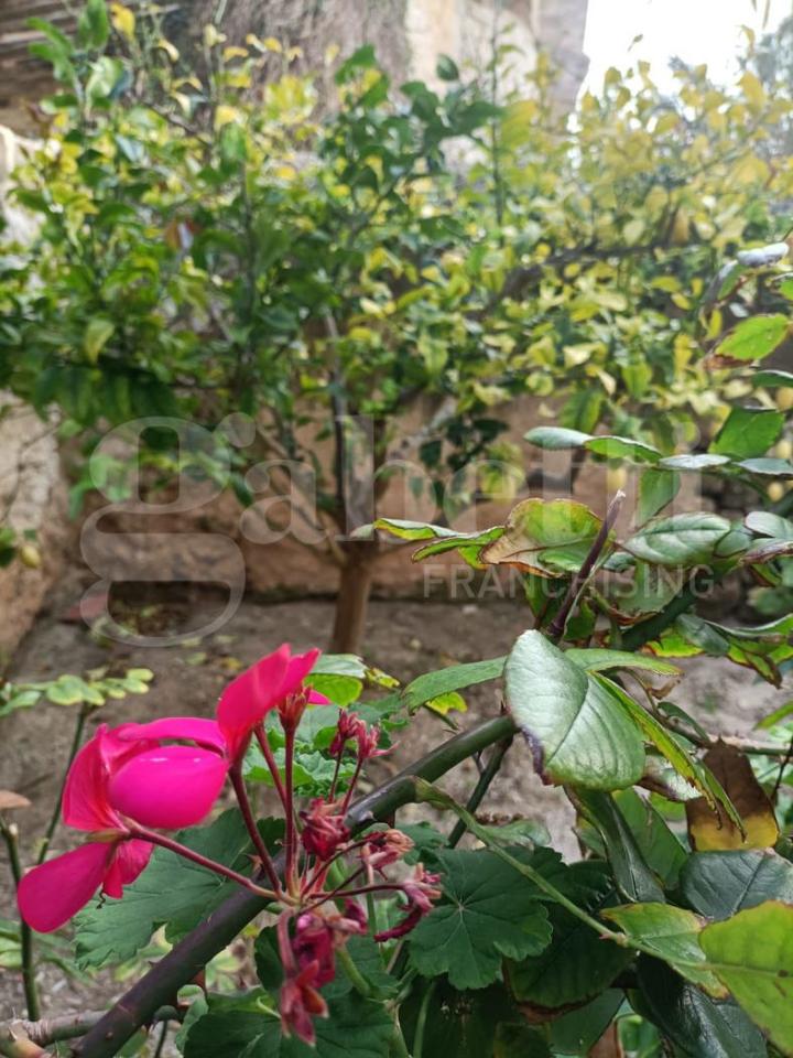 3-Zimmer Wohnung in Favignana, Italy, Nr. 235446