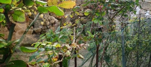 3-Zimmer Wohnung in Favignana, Italy, Nr. 235446 4