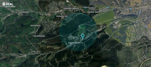 Дом с 4 комнатами в Кальтенлойтгебен, Австрия № 169419 7