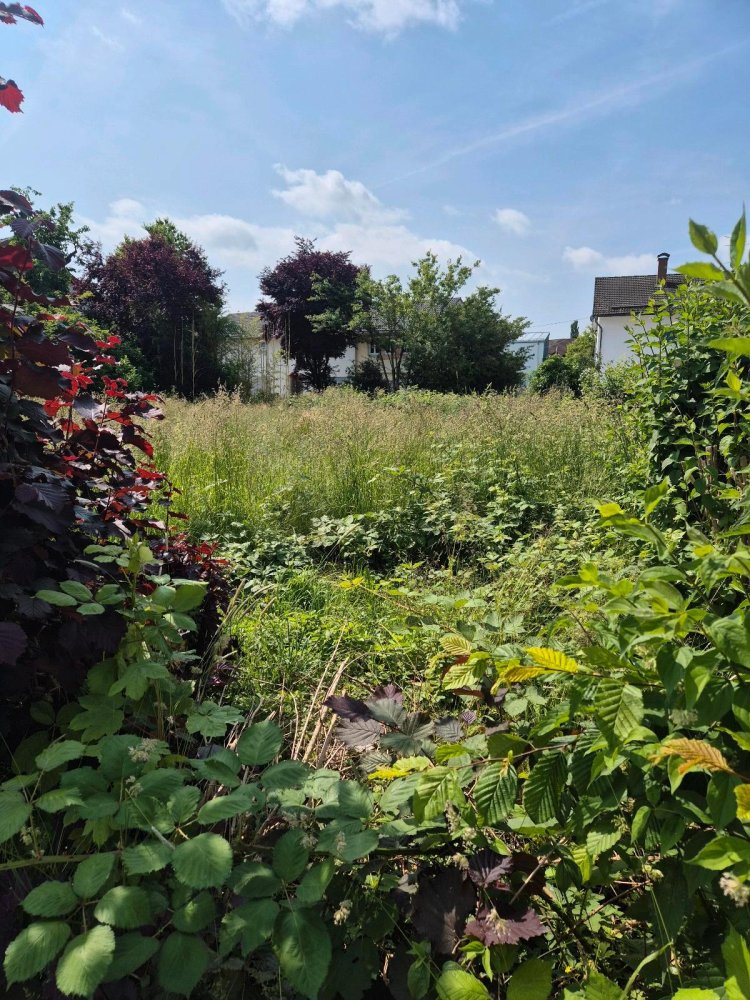 Земельный участок в Розенхайм, Германия № 218905