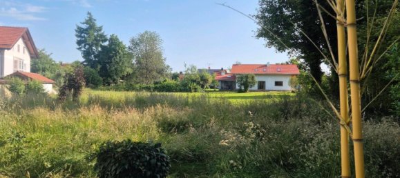 Земельный участок в Розенхайм, Германия № 218905 5