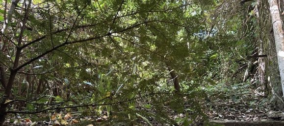 2 chambres Maison à Thouars, France No. 341679 11