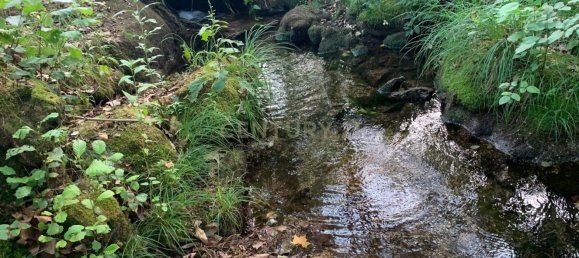 1 bedroom House in Povoa de Lanhoso, Portugal No. 9995 45