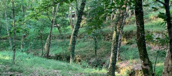 1 bedroom House in Povoa de Lanhoso, Portugal No. 9995 33