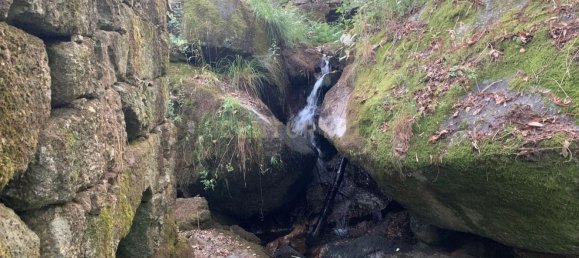 1 bedroom House in Povoa de Lanhoso, Portugal No. 9995 3