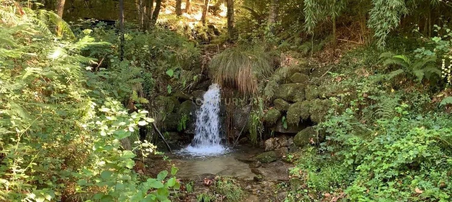 1 bedroom House in Povoa de Lanhoso, Portugal No. 9995