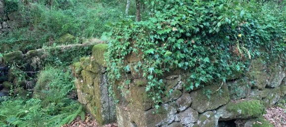 1 bedroom House in Povoa de Lanhoso, Portugal No. 9995 37