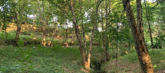 1 bedroom House in Povoa de Lanhoso, Portugal No. 9995 22