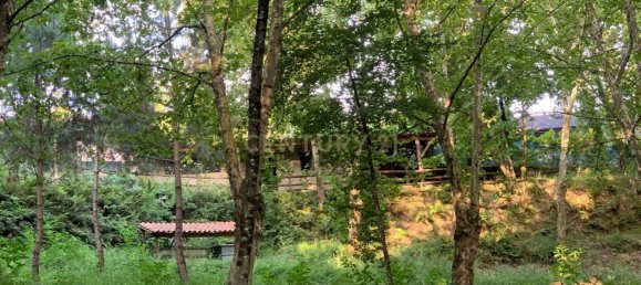 1 bedroom House in Povoa de Lanhoso, Portugal No. 9995 26