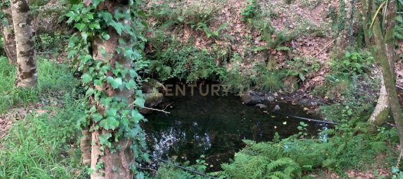 1 bedroom House in Povoa de Lanhoso, Portugal No. 9995 35