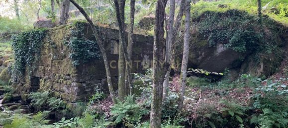 1 bedroom House in Povoa de Lanhoso, Portugal No. 9995 41