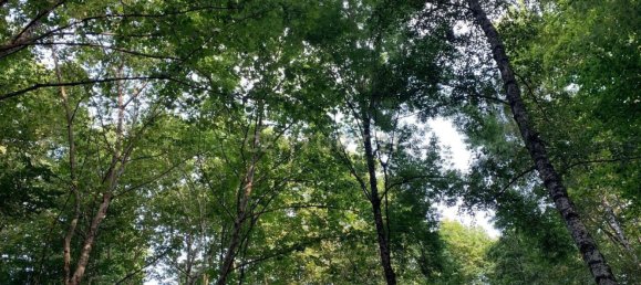 1 bedroom House in Povoa de Lanhoso, Portugal No. 9995 47