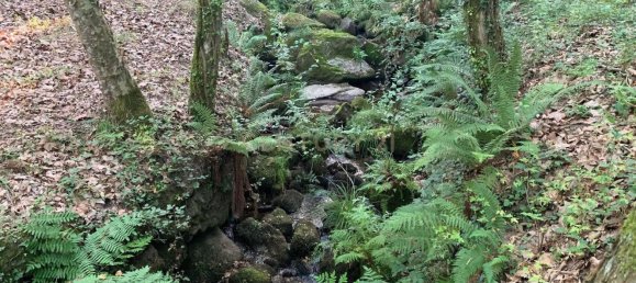 1 bedroom House in Povoa de Lanhoso, Portugal No. 9995 21