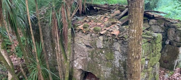 1 bedroom House in Povoa de Lanhoso, Portugal No. 9995 34