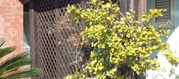 Penthouse de 3 divisões em Monteroni di Lecce, Italy N.º 41962 6