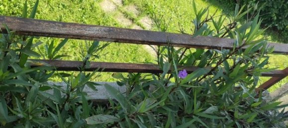 5 bedrooms Villa in Sovizzo, Italy No. 234586 17