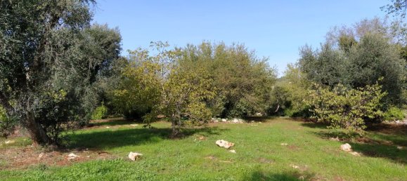 Casa de 5 habitaciónes en Ceglie Messapica, Italy No. 235350 15