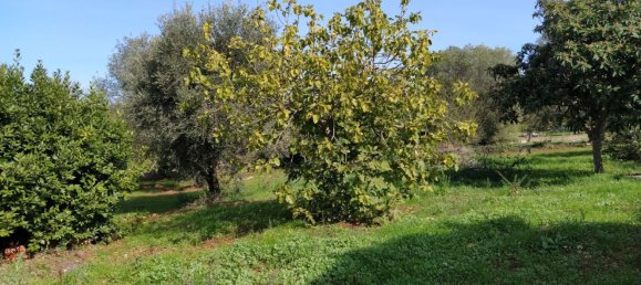 Casa de 5 habitaciónes en Ceglie Messapica, Italy No. 235350 19