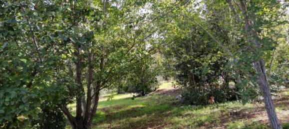 Casa de 5 habitaciónes en Ceglie Messapica, Italy No. 235350 13