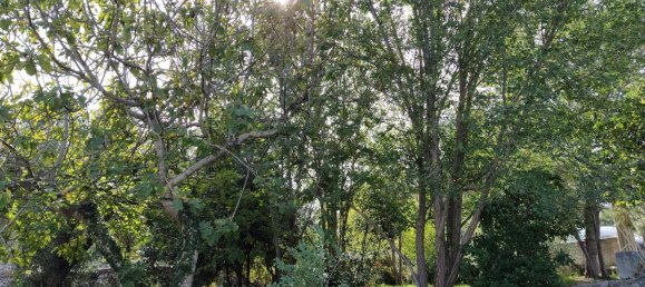 Casa de 5 habitaciónes en Ceglie Messapica, Italy No. 235350 5