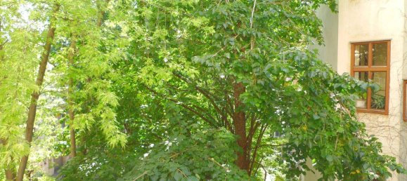 Студия в Мариахильф, Австрия № 234121 5