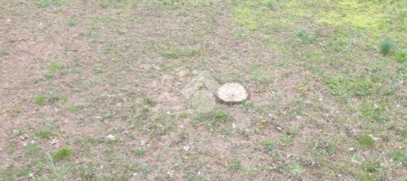 3800m² Land in Urgnano, Italy No. 172059 9