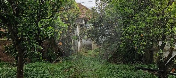 2 bedrooms House in Pinhal Novo, Portugal No. 21221 6