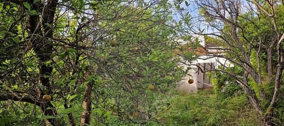 2 bedrooms House in Pinhal Novo, Portugal No. 21221 5