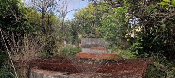 2 bedrooms House in Pinhal Novo, Portugal No. 21221 4