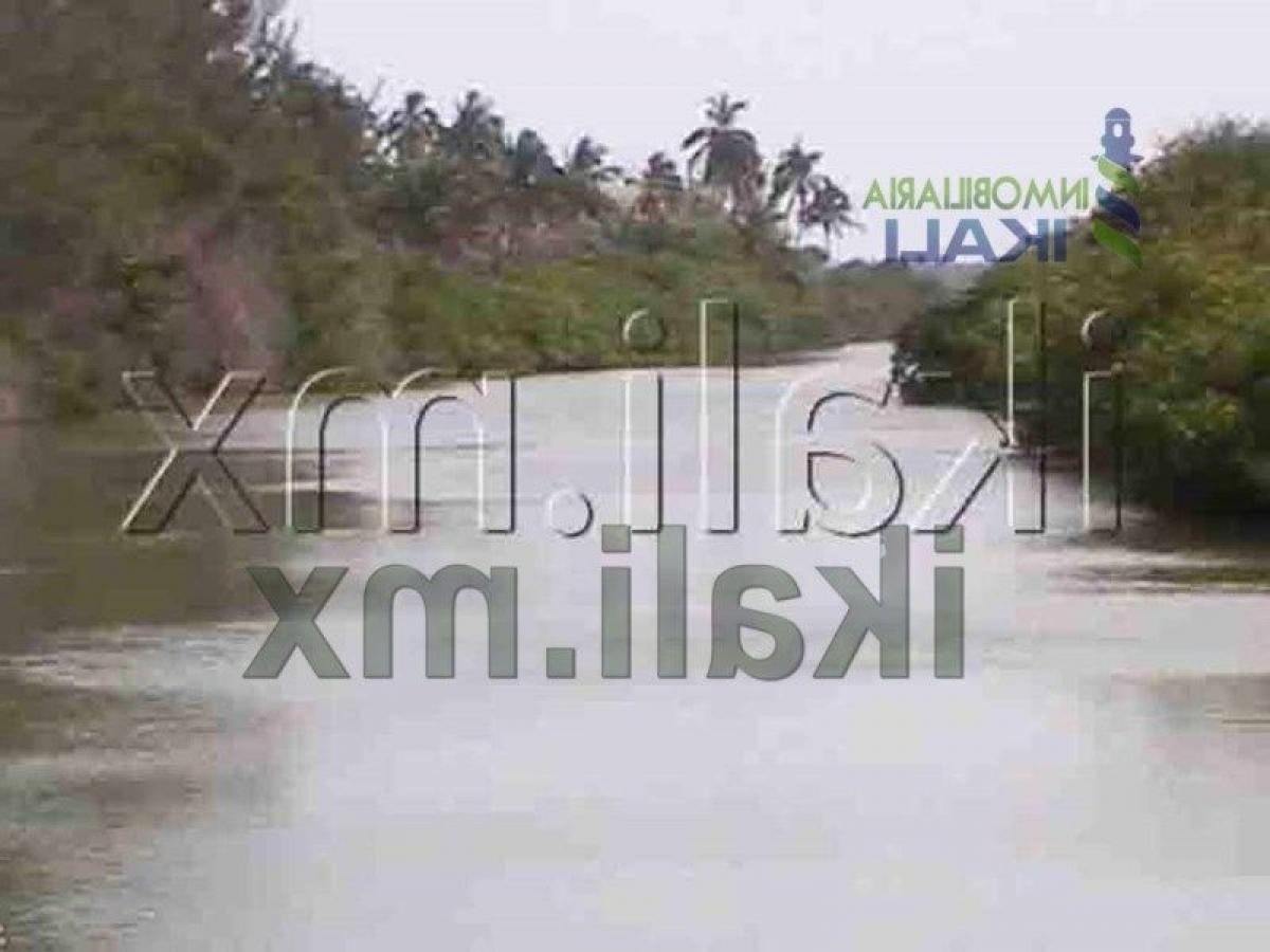  Land in Veracruz, Mexico No. 204050