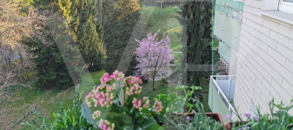 3 rooms Apartment in Linz, Austria No. 155653 7