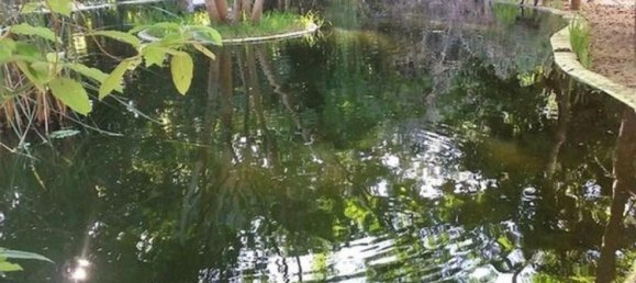 Дом с 4 спальнями в Кинтана Роо, Мексика № 186851 2