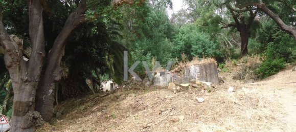 Terreno em Monchique, Portugal 2560 m² N.º 154639 15