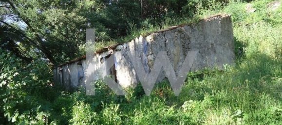 Terreno em Monchique, Portugal 2560 m² N.º 154639 6