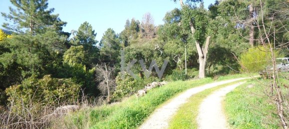 Terreno em Monchique, Portugal 2560 m² N.º 154639 2