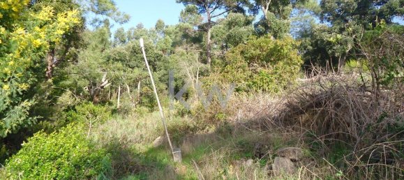 Terreno em Monchique, Portugal 2560 m² N.º 154639 4