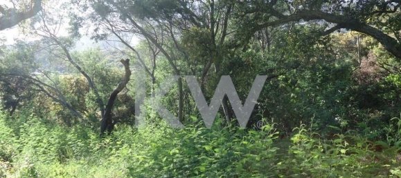 Terreno em Monchique, Portugal 2560 m² N.º 154639 5