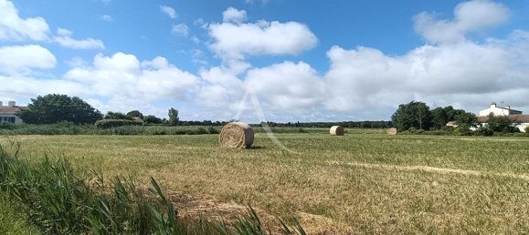  قطعة أرض في La Barre-de-Monts, France رقم 303310 2