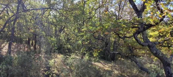 Grundstück in Saint-Cezaire-sur-Siagne, France 309025m², Nr. 101135 6