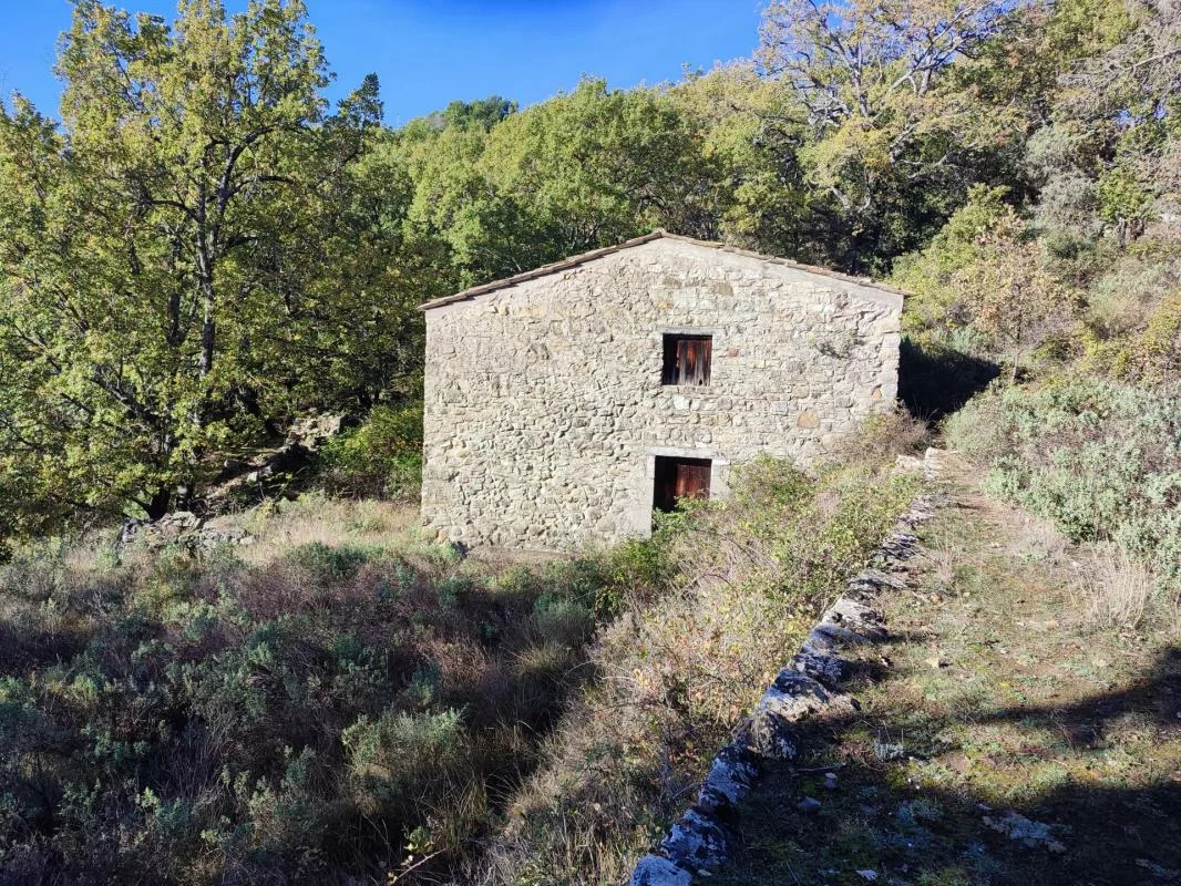 Grundstück in Saint-Cezaire-sur-Siagne, France 309025m², Nr. 101135