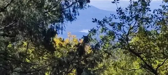 Grundstück in Saint-Cezaire-sur-Siagne, France 309025m², Nr. 101135 9