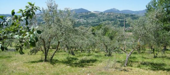 9 rooms House in Alatri, Italy No. 82365 23