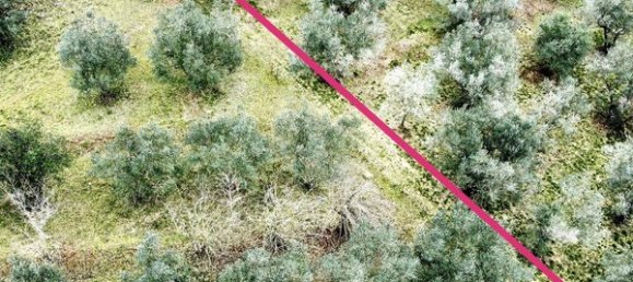 9 rooms House in Alatri, Italy No. 82365 31